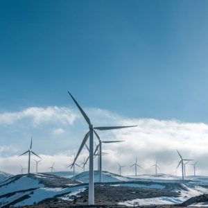 CoursePicEnvironmentalScience