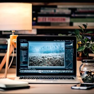 CoursePicBachelor-of-Science-in-ComputerGraphicsDesignBSc